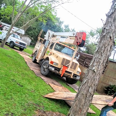 Residential Tree Trimming and Removal Services