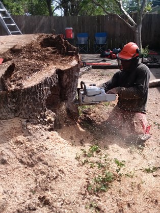 Residential Tree Trimming and Removal