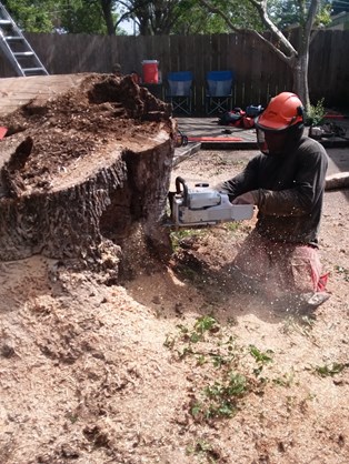 Residential Tree Trimming and Removal