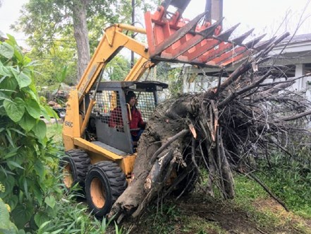 Skid Steer Stump Removal